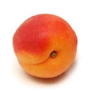 ABRICOT
