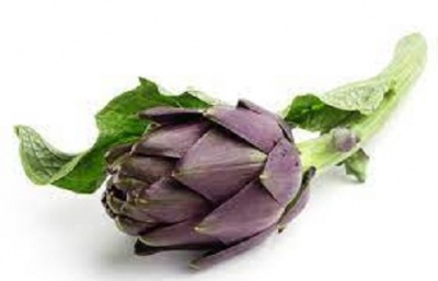 ARTICHAUT VIOLET Bouquet