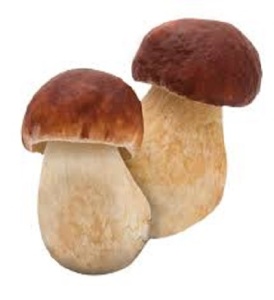 CEPES BOUCHON 1 kilo