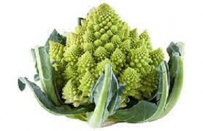 CHOU ROMANESCO PIECE