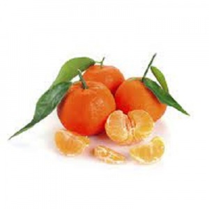 CLEMENTINE FEUILLE