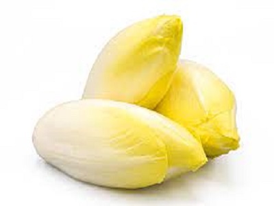 ENDIVE EXTRA