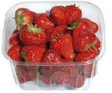 FRAISE BELGE 500 GR