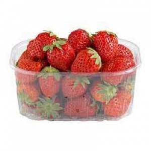 FRAISE 500GR ESPAGNE