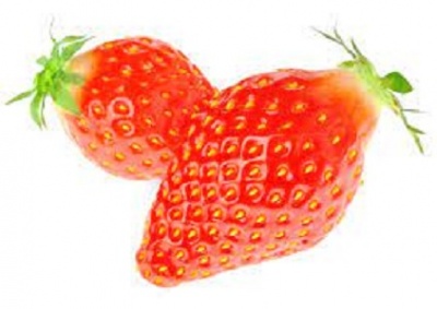 FRAISE CLERY 500GR FRANCE