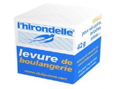 LEVURE DE BOULANGER CUBE 42 GR