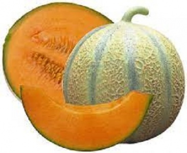 MELON PCE