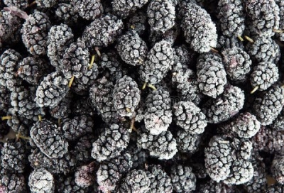 MURE CONGELEE 1 KG