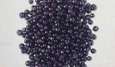 MYRTILLE SAUVAGE EU PS 1KG