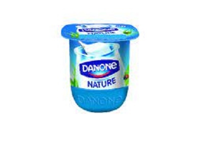 YAOURT NATURE DANONE Pièce