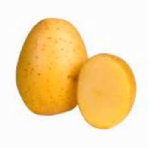 POMME DE TERRE SUMITA-MONTANA 75+Sac