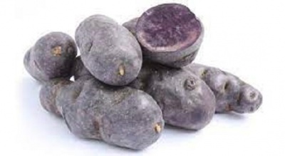 POMME DE TERRE VITELOTTE