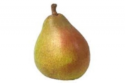 POIRE COMICE