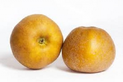 POMME CANADA SAVOIE