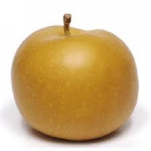 POMME CANADA GRISE 75/85