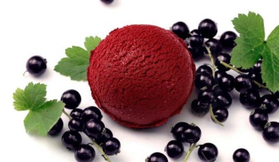 RAIMO SORBET CASSIS 2.5L