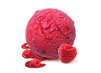 RAIMO SORBET FRAMBOISE BIO 2.5L