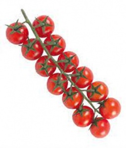 TOMATE CERISE GRAPPE