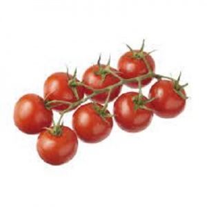 TOMATE COCKTAIL GRAPPE