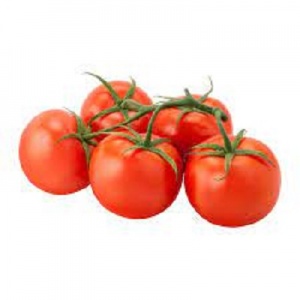 TOMATE GRAPPE