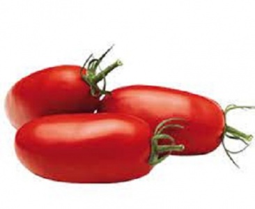 TOMATE TORINO 