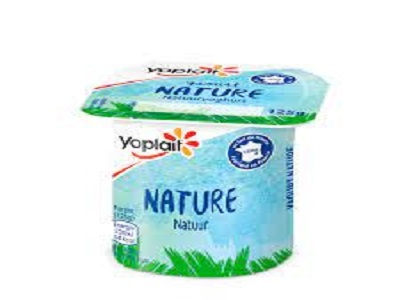 YAOURT YOPLAIT NATURE X 4